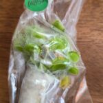 Large Adult Plant: Giant Venus Flytrap "B52" Dionaea Muscipula Cultivar photo review